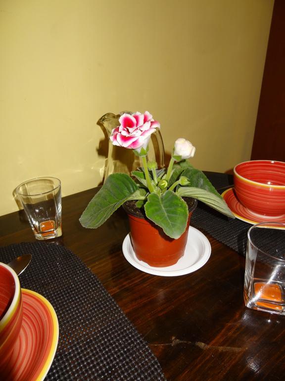 下博克特 Valle Primavera酒店 客房 照片